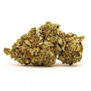 Hawaiian Haze Bud - Raw Candy Shop Cannabis & Kratom