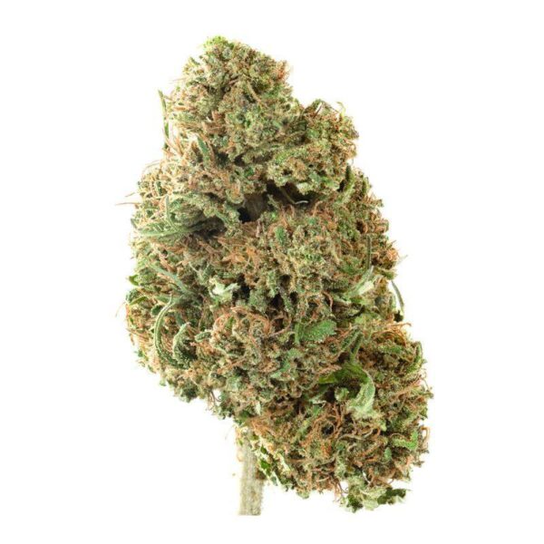 Abacus Bud - Raw Candy Shop Cannabis & Kratom